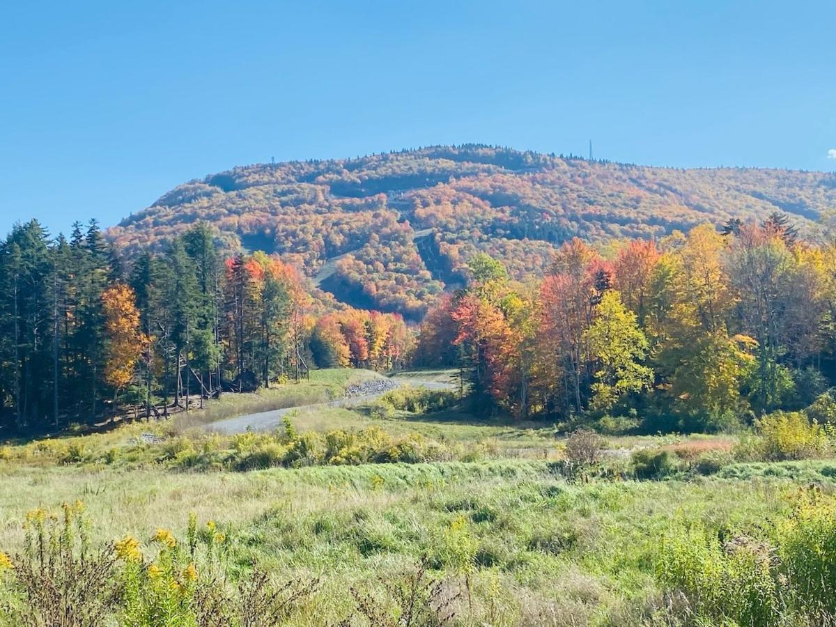 Hunter Mountain Sanctuaryヴィラ エクステリア 写真