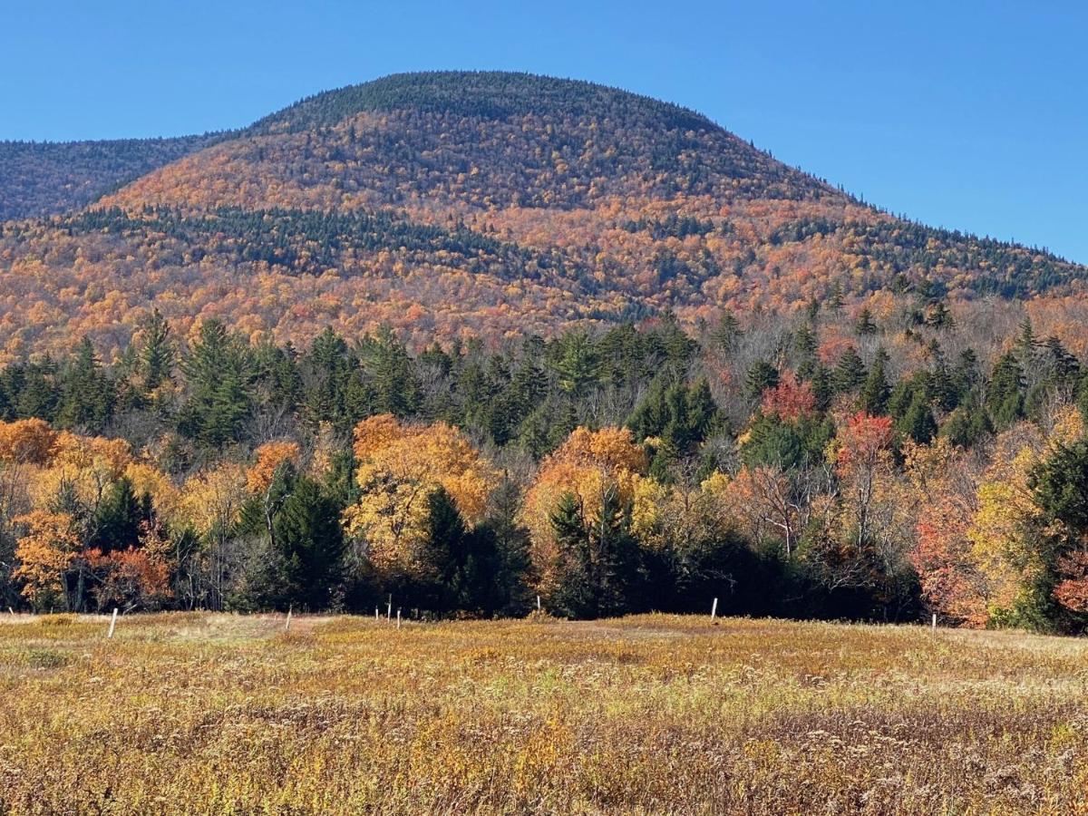 Hunter Mountain Sanctuaryヴィラ エクステリア 写真